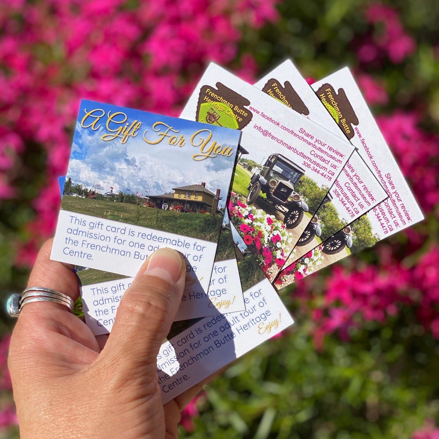 Museum Pass