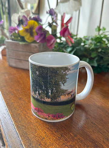 Museum Gardens Mug