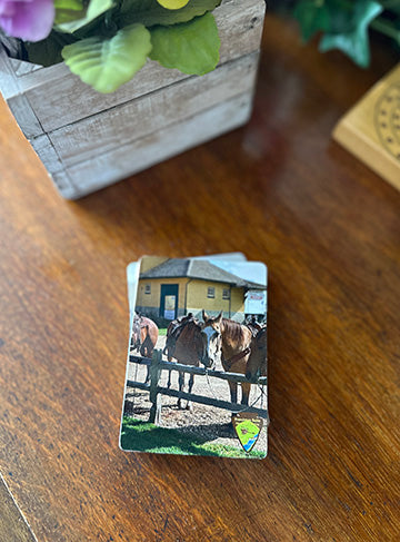 Horses at the Hitching Post Playing Cards